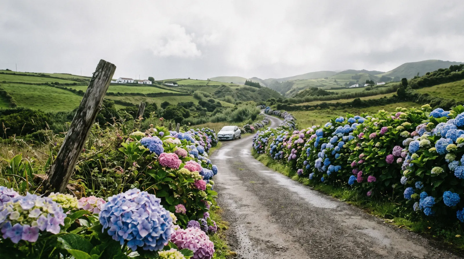 Hydrangea-lined lane in summer on the Azores, the season every month-by-month question is really about