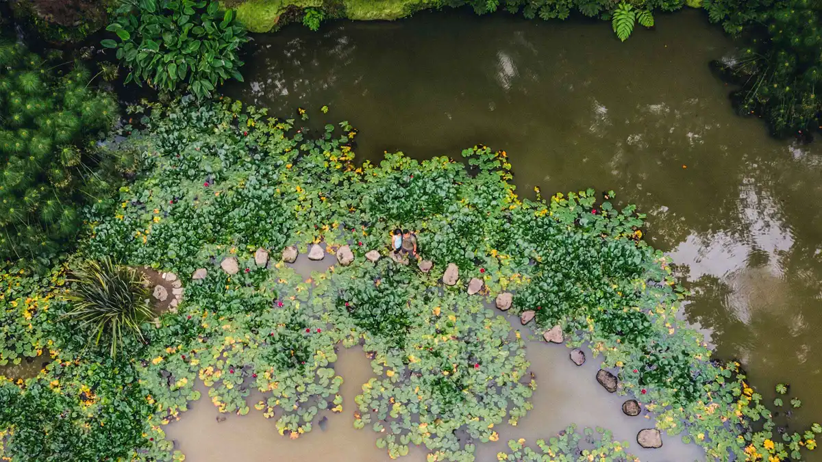 An aerial view over flower-lined water on the Furnas and Terra Nostra garden e-tour