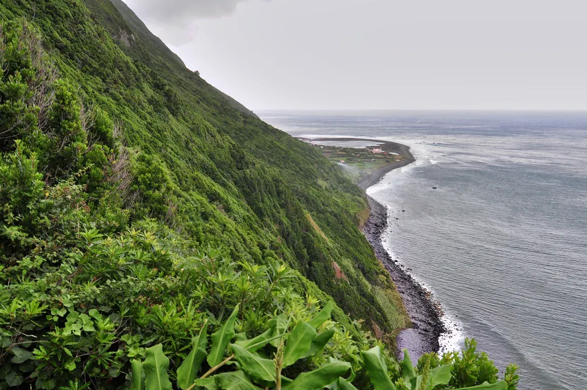 Green cliffs falling to the coast at Fajã da Caldeira de Santo Cristo on the north side of São Jorge